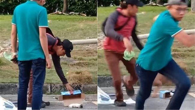 好心被雷親！暖男「救奶狗」遭狗母…