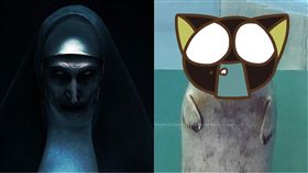 海豹,鬼修女,孤單,日本,北海道,水族館,動物　圖／翻攝自推特　https://goo.gl/Gj6WgF