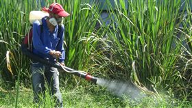 新北增本土登革熱病例新北市衛生局26日公布新增一例本土登革熱個案，一名住在新莊的7歲男童經通報確診，衛生局與環保局已加強進行孳生源清除與噴藥消毒工作。（衛生局提供）中央社記者黃旭昇新北傳真　107年9月26日