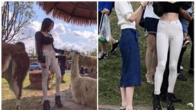 大陸,駱駝蹄,正妹,網紅
翻攝網路