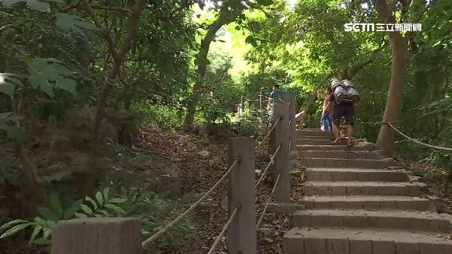 山友噩夢！壁蝨火燒「八隻腳」仍緊咬