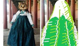 韓服,老公,韓國,大白菜.／翻攝自爆廢公社