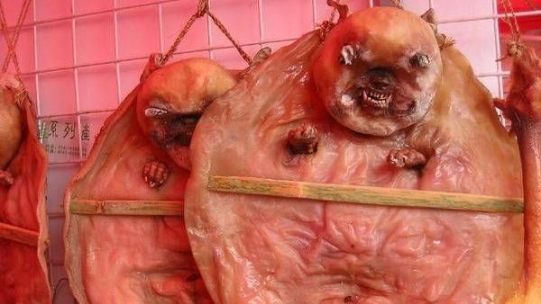 中國殘忍「臘乳狗」　連頭帶肉風乾吃