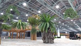 台中花博打造植物方舟　巨蘭將參展