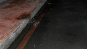 黃姓男大生躺在人行道上，卻遭曳引車輾過當場死亡。（圖／番社畫慢）