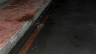 輾斃醉倒男大生　賠6百萬＋終身吊照