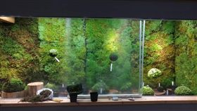 花博外埔園區智農館　辜嚴倬雲保種中心展出上千珍稀植物