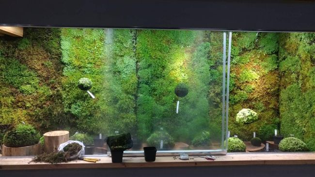 花博外埔園區智農館　展多種珍稀植物