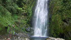 國慶連假　東勢林管處邀高山輕旅行