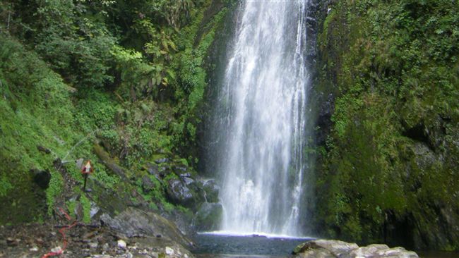 國慶假期好去處　東勢林管處推高山遊