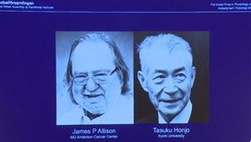 諾貝爾醫學獎 獎落美日兩免疫學家
（圖／翻攝自NobelPrizeYouTube影片）