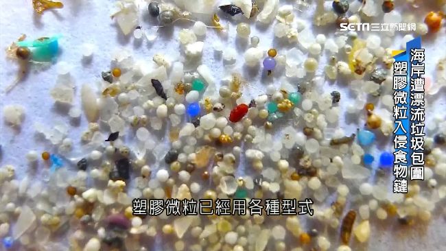 清大證實　台灣食鹽也含「塑膠微粒」