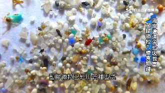 清大證實　台灣食鹽也含「塑膠微粒」