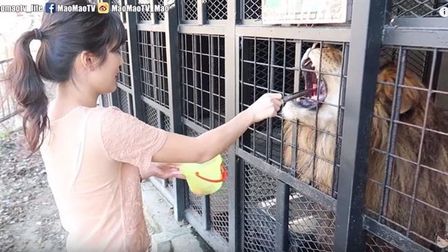 日本超危險動物園！入園得簽生死狀