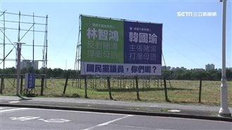 不怕藍營出手　高雄青：被告就加看板