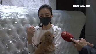 她花大錢買床架　竟慘把致癌物搬進家