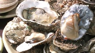 牡蠣吃到飽衝來客數　「加點」才有賺