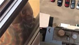 女雇主,幫傭,墜樓（圖／翻攝自《每日郵報》）