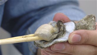 排3小時也划算！百元烤生蚵吃到飽