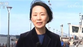 央視記者孔琳琳中國央視駐倫敦記者孔琳琳在英國保守黨年度座談會中打人後，她過去的言行陸續被「起底」。圖為孔琳琳日前報導英國脫歐議題時的新聞畫面。（取自中國央視新聞畫面）中央社　107年10月2日