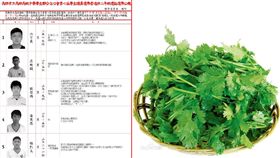 高雄中學學生聯合自治會 KSSA臉書、百度百科