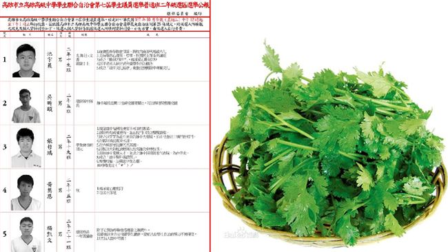 「便當不加香菜」雄中學生政見被讚爆
