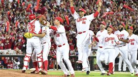 廣島鯉魚拿下中央聯盟優勝。（圖／美聯社／達志影像)