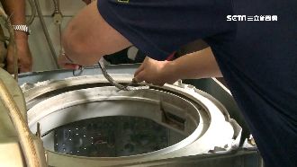 母蛇疑竄洗衣機生蛋　打開驚見3小蛇