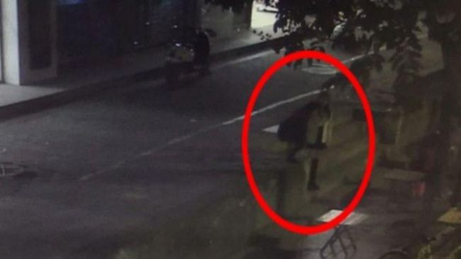 獨自散步過橋　少女遭陌生男扔下橋