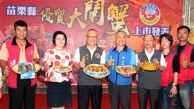 藥檢把關秋季嚐鮮　苗栗大閘蟹上市