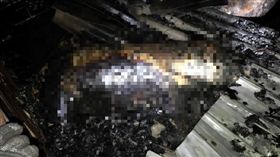 台中,豐原,豬舍,火警（圖／翻攝畫面）