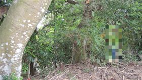 新北市，樹林，上吊，輕生，自殺