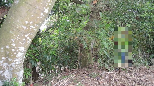 基隆男失蹤7年　今在大甲溪畔上吊亡