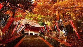 首航特惠！在最​美秋季與日本山陰地區的紅葉相遇
圖／宏飛旅行社
