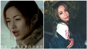 蕭亞軒整形前後，合成圖／翻攝自YouTube、臉書