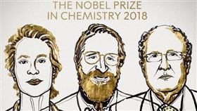 諾貝爾化學獎得主，對清潔劑和抗癌藥有貢獻。（圖／翻攝自The Nobel Prize推特）