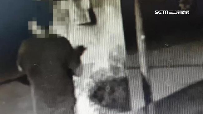 男疑欠債　債主沿街貼「廣告單」尋人