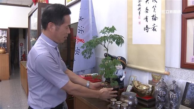 禁忌曝光！盆栽隨便亂放　恐招來厄運