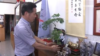 禁忌曝光！盆栽隨便亂放　恐招來厄運