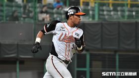 統一獅林祐樂。（圖／記者王怡翔攝影）