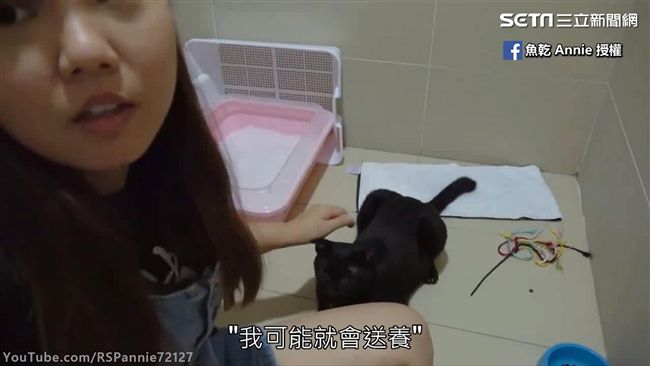 中途媽媽初體驗　怕「自己喜歡上牠」