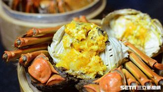 揪團一起吃！大閘蟹吃到飽國慶日回歸