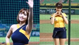 「胸弟象」正妹看不夠？他再連發4支片　網跪：不離不棄！
合成圖翻攝自爆廢公社公開版