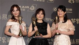 陳家頤主持台視科學節目《驚奇！博物館》拿下自然科學紀實節目獎及主持人獎
圖／記者邱榮吉攝影