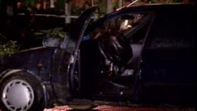 高瞻秘案,溜冰女童