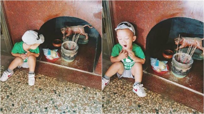 虎爺吃飽了沒？小男童萌樣融化網友