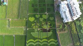 花博，外埔彩繪稻田