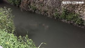 醉男坐護欄休息 慘摔入大排沖30公尺溺斃／翻攝畫面