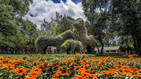 阿拉伯馬綠雕吸睛 　紀念歷史也成打卡夯點