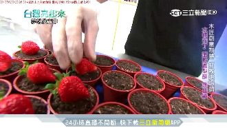 曾負債百萬　盆栽蛋糕創千萬業績